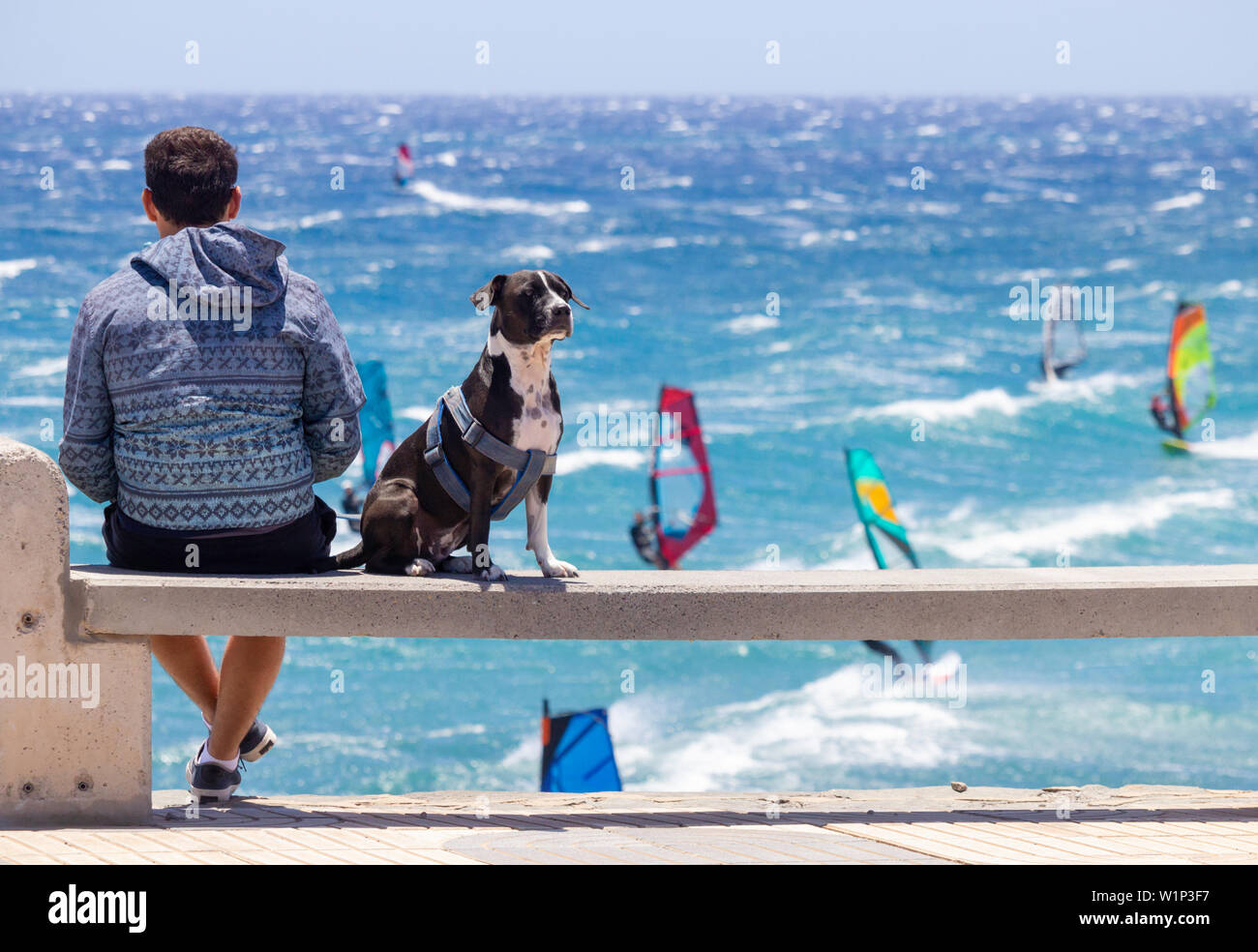 Pozo Izquierdo, Gran Canaria, Canary Islands, Spain. 3rd July 2019. Windsurfing in 50 knots of wind. One man and his dog watch the the world`s best wave sailors as they start arriving in Pozo Izquierdo on Gran Canaria ahead of the first leg of the PWA (Professional Windsurfers Association) 2019 world wave sailing championship tour which starts on 12th July. Pozo is famed, and feared by many, for its howling 50 knot summer winds. Credit:Alan Dawson/Alamy Live News. Stock Photo